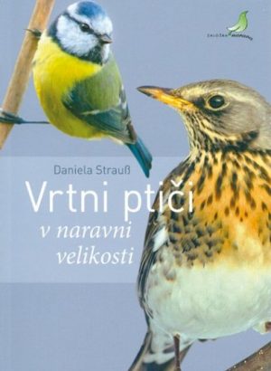 Vrtni ptiči: V naravni velikosti Daniela Straufl Knjiga o ptičih